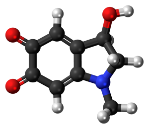 Adrenochrome molecule